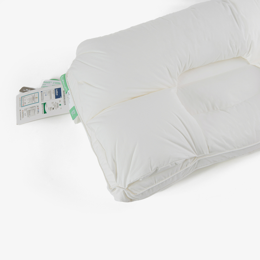 Huggs Pillow