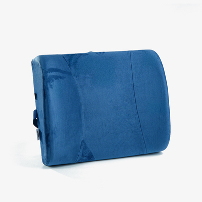 Back Cushion