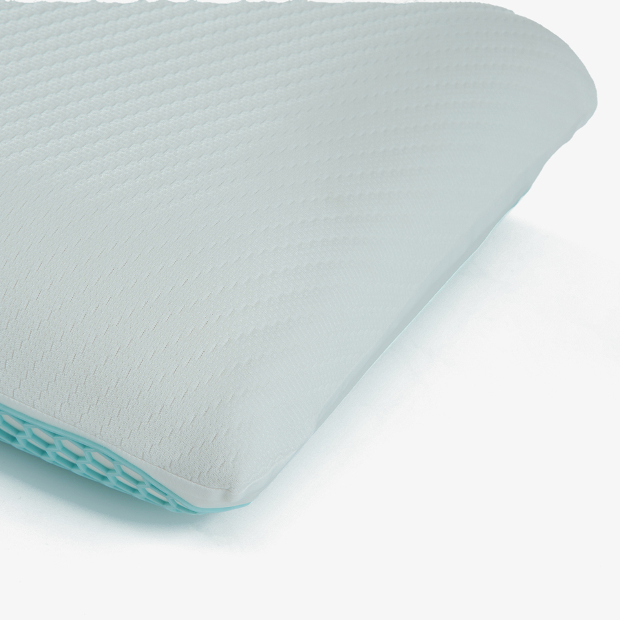 Visco pillow TPE